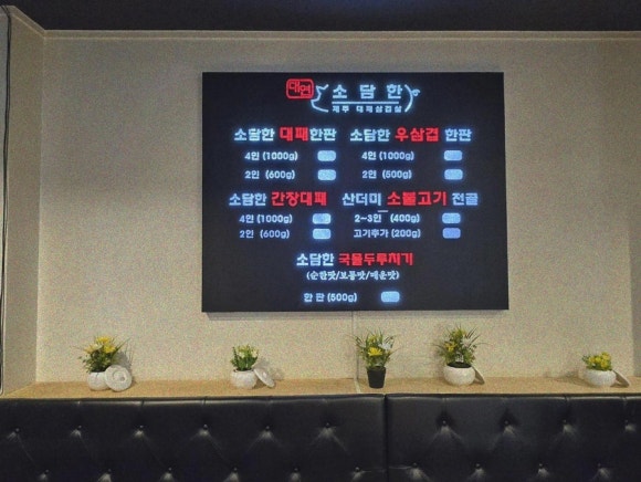 제주대패 이미지