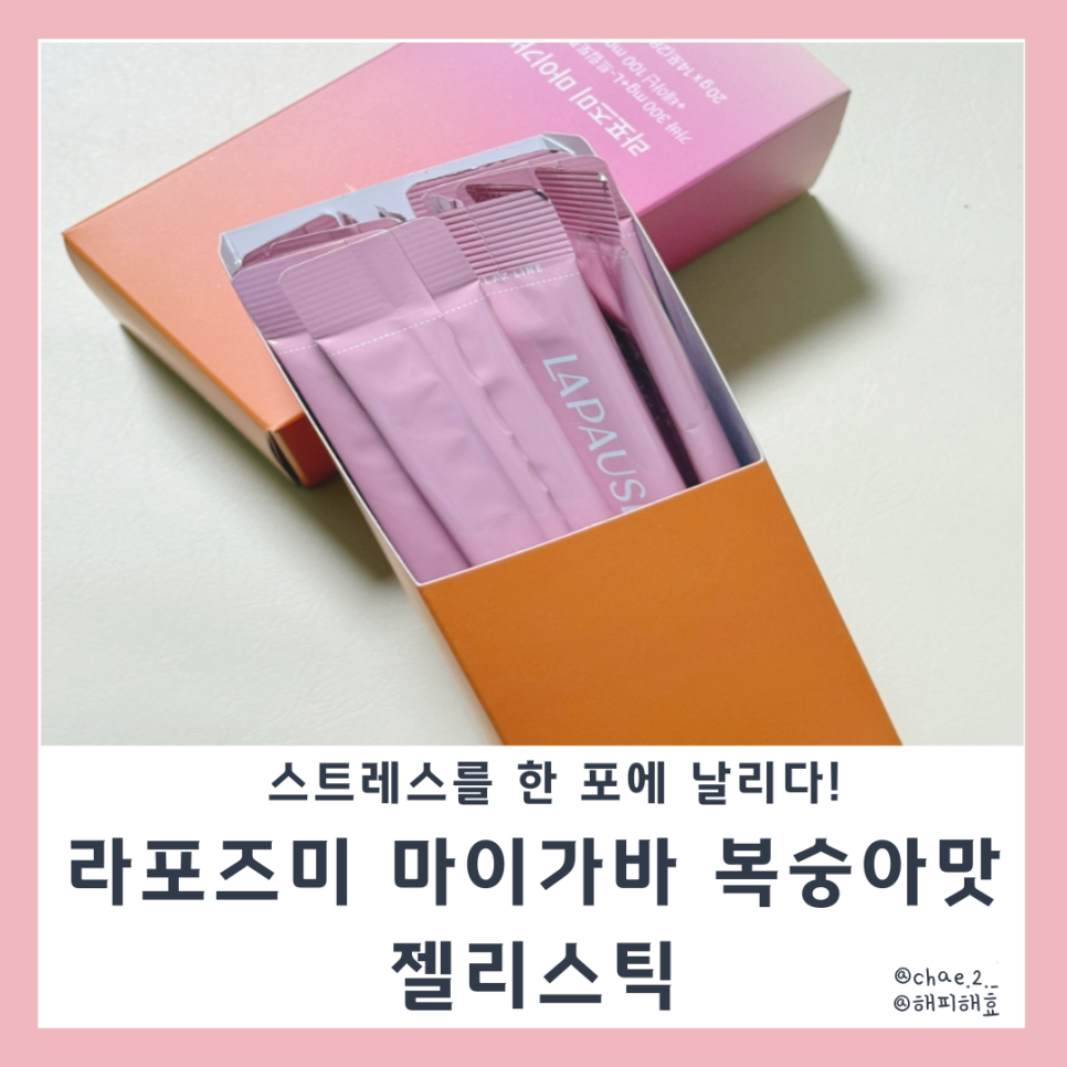 라포즈미 이미지