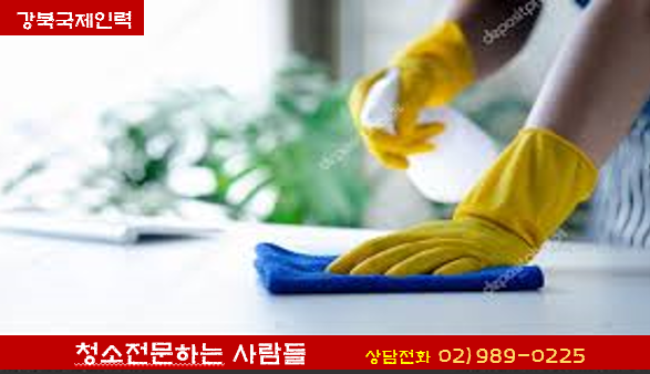 국제인력 직업소개소 이미지