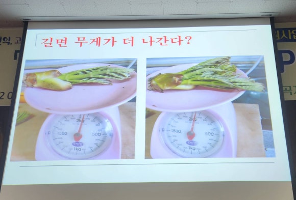 순천농협상사지점 이미지