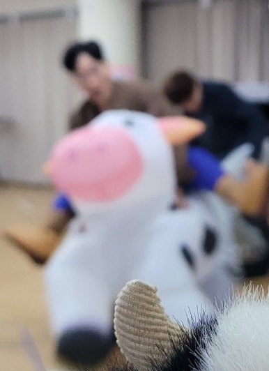 아카포네 이미지