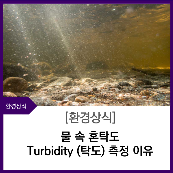 에닌주식회사 이미지