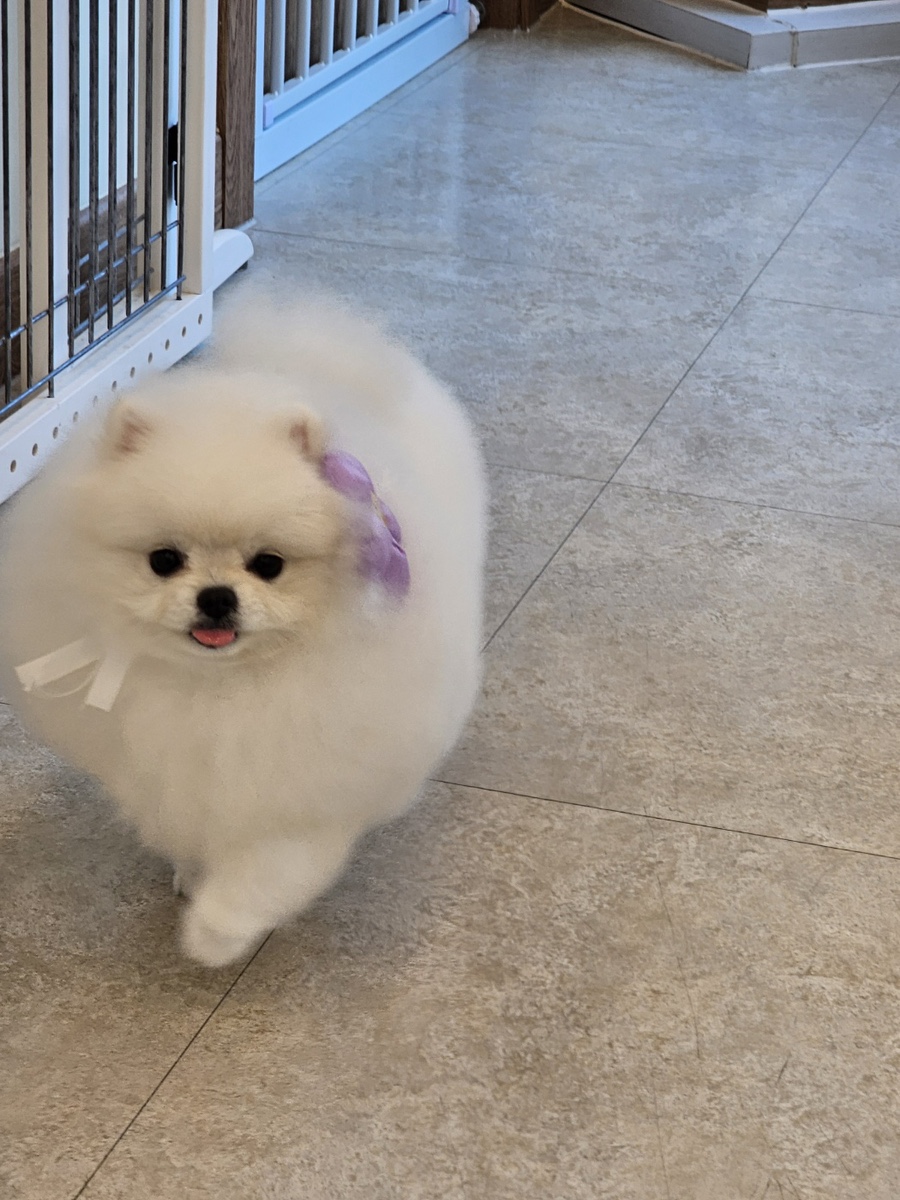다미살롱 이미지