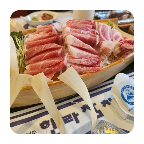 이상참치 이미지