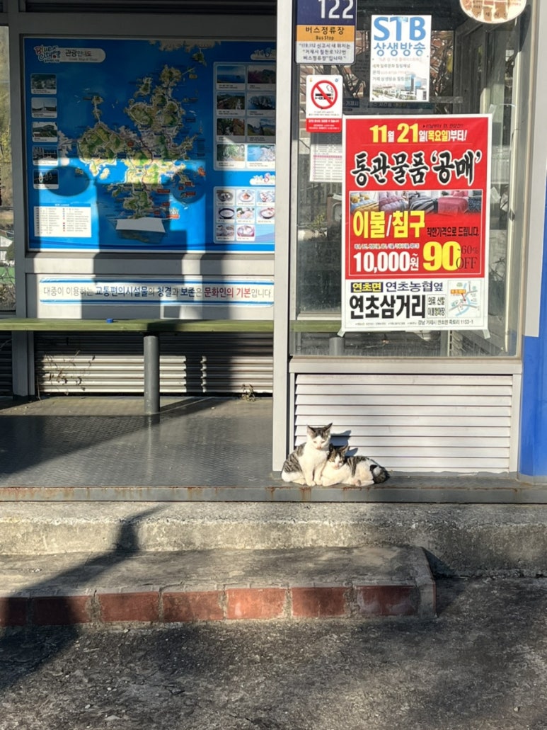 명반점 이미지