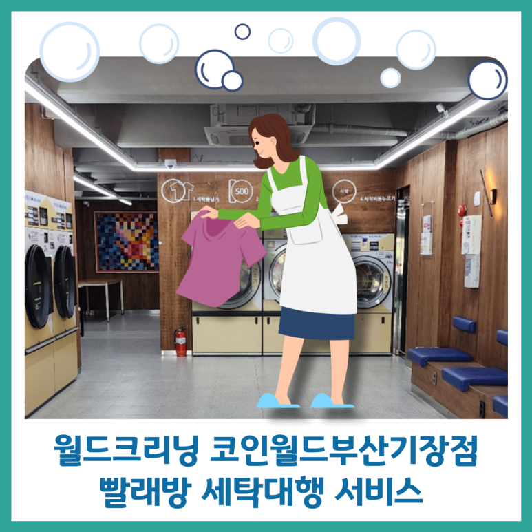 월드크리닝코인월드부산 이미지