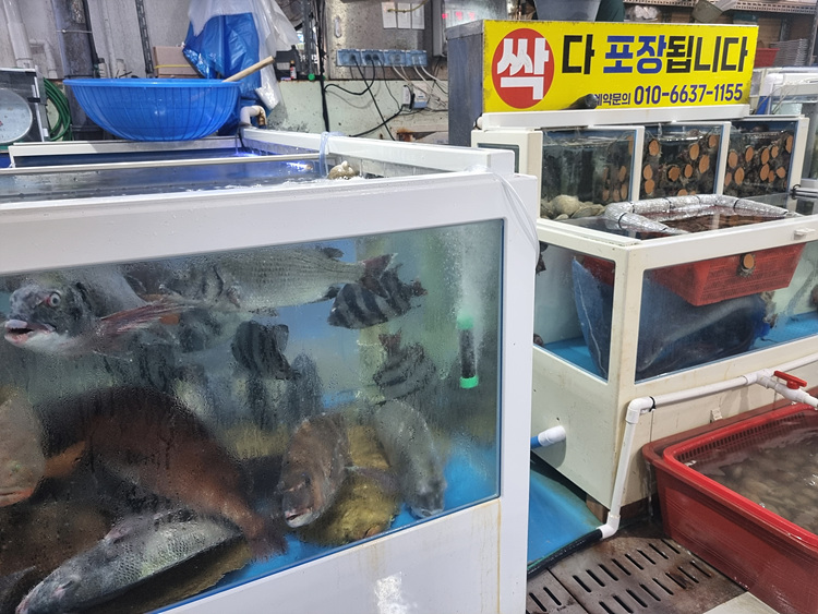 한가득횟집 이미지