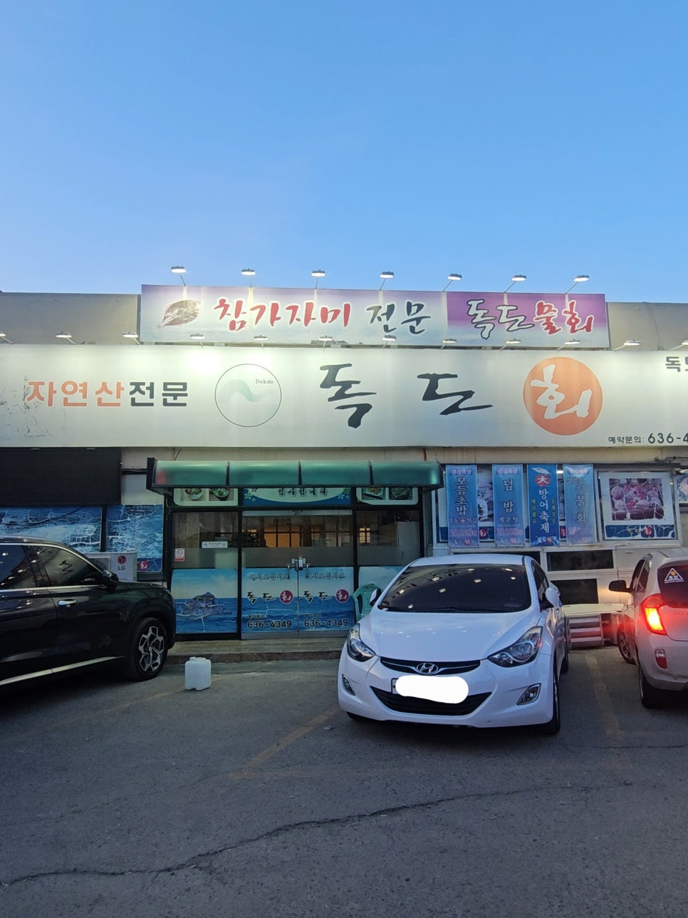 독도회타운 이미지
