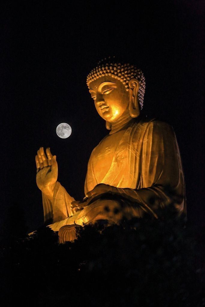 화성반월중학교 이미지