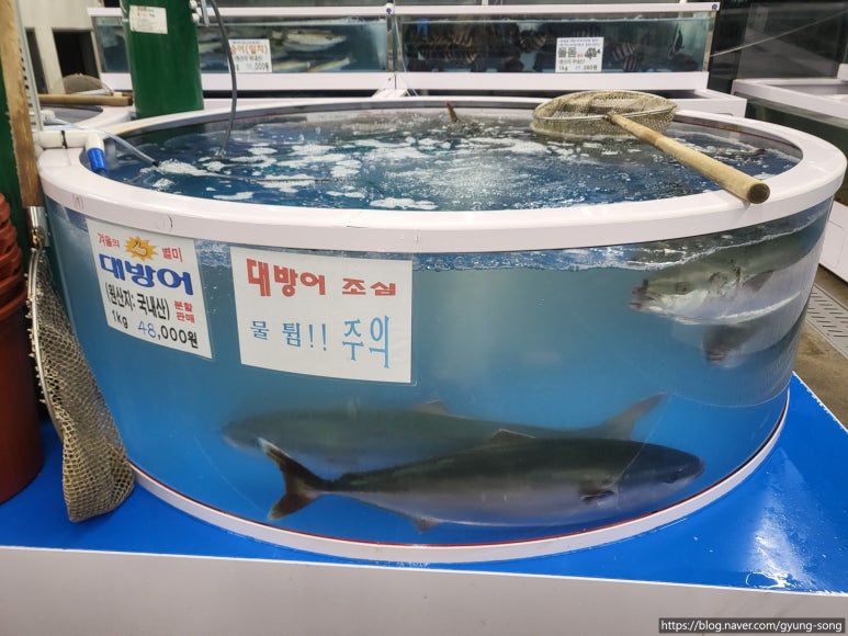 중부수산 이미지