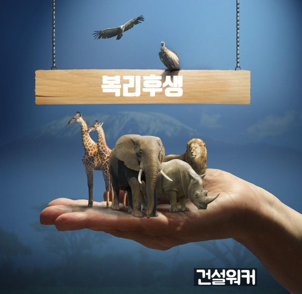 중앙건설(주) 이미지