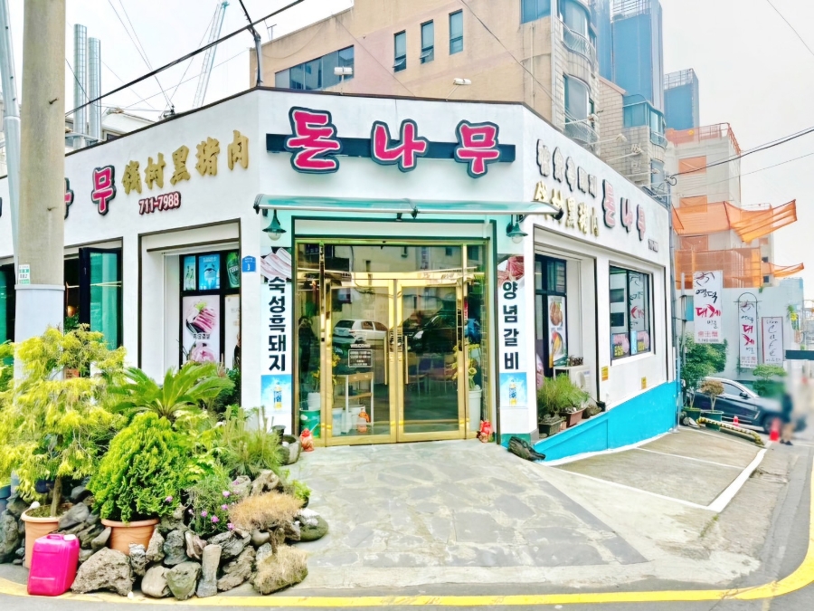 돼지30 이미지
