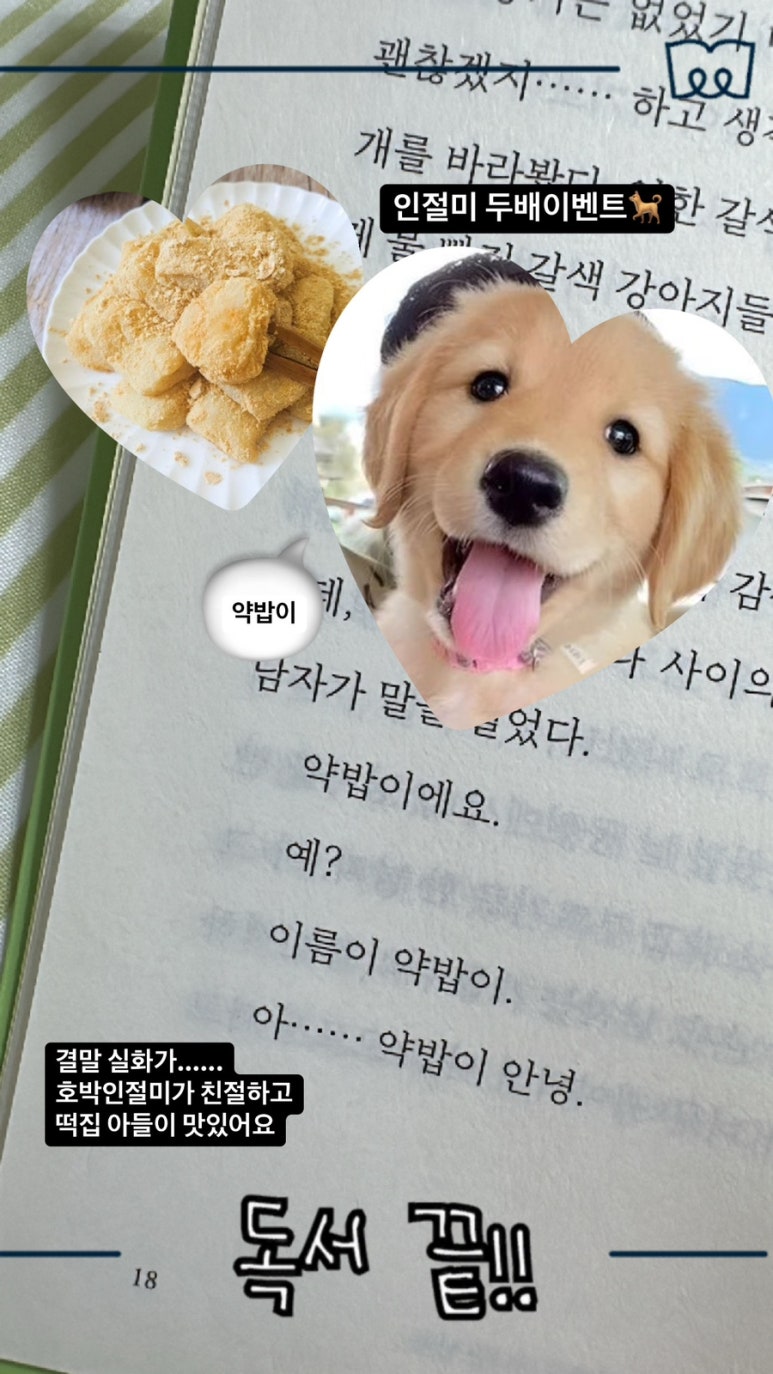 (주)엠스진 이미지