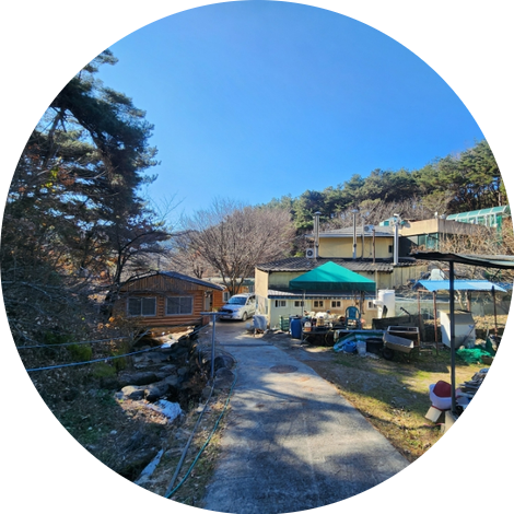 산속비봉식당 이미지