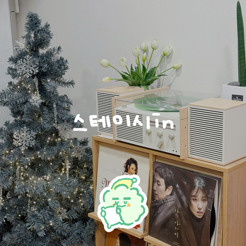 스테이시in 이미지