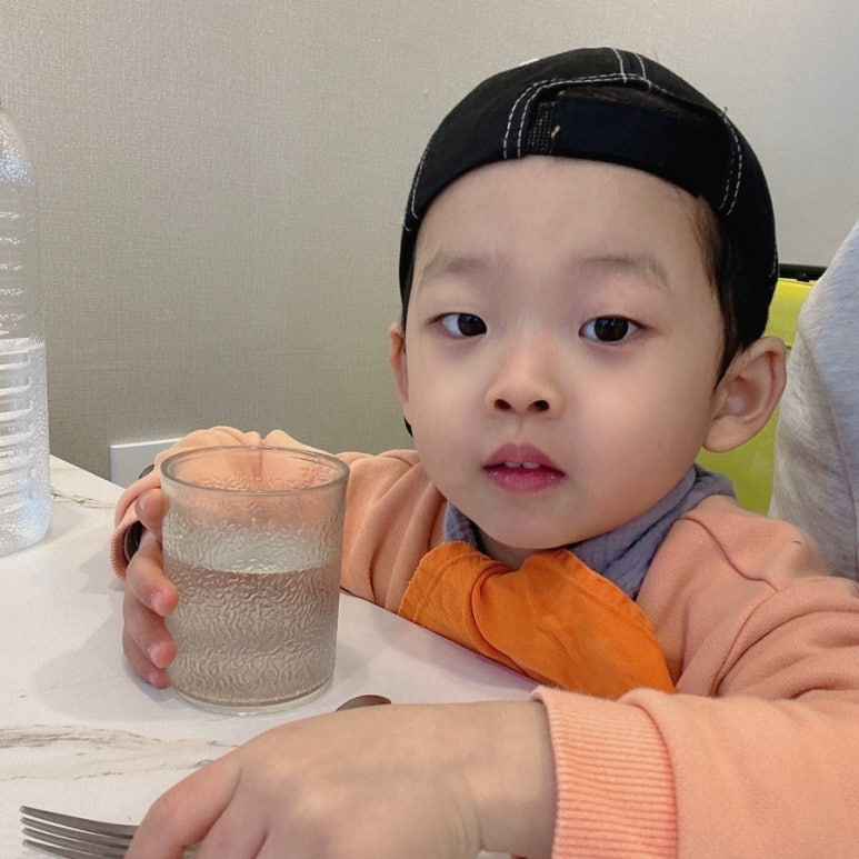 갈리말리 이미지