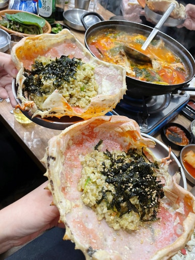 돌고래회 이미지