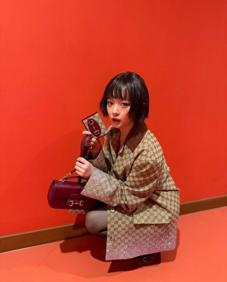 가방하니 이미지
