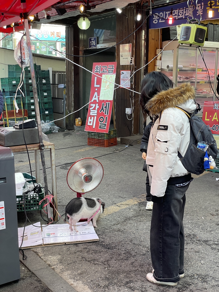 수현정육점 이미지