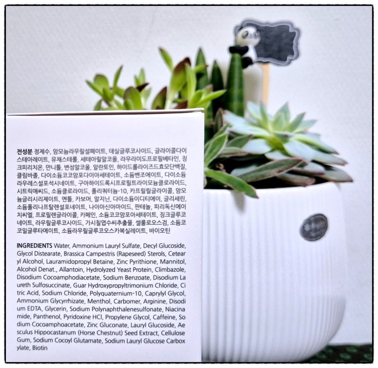 지성유통 이미지