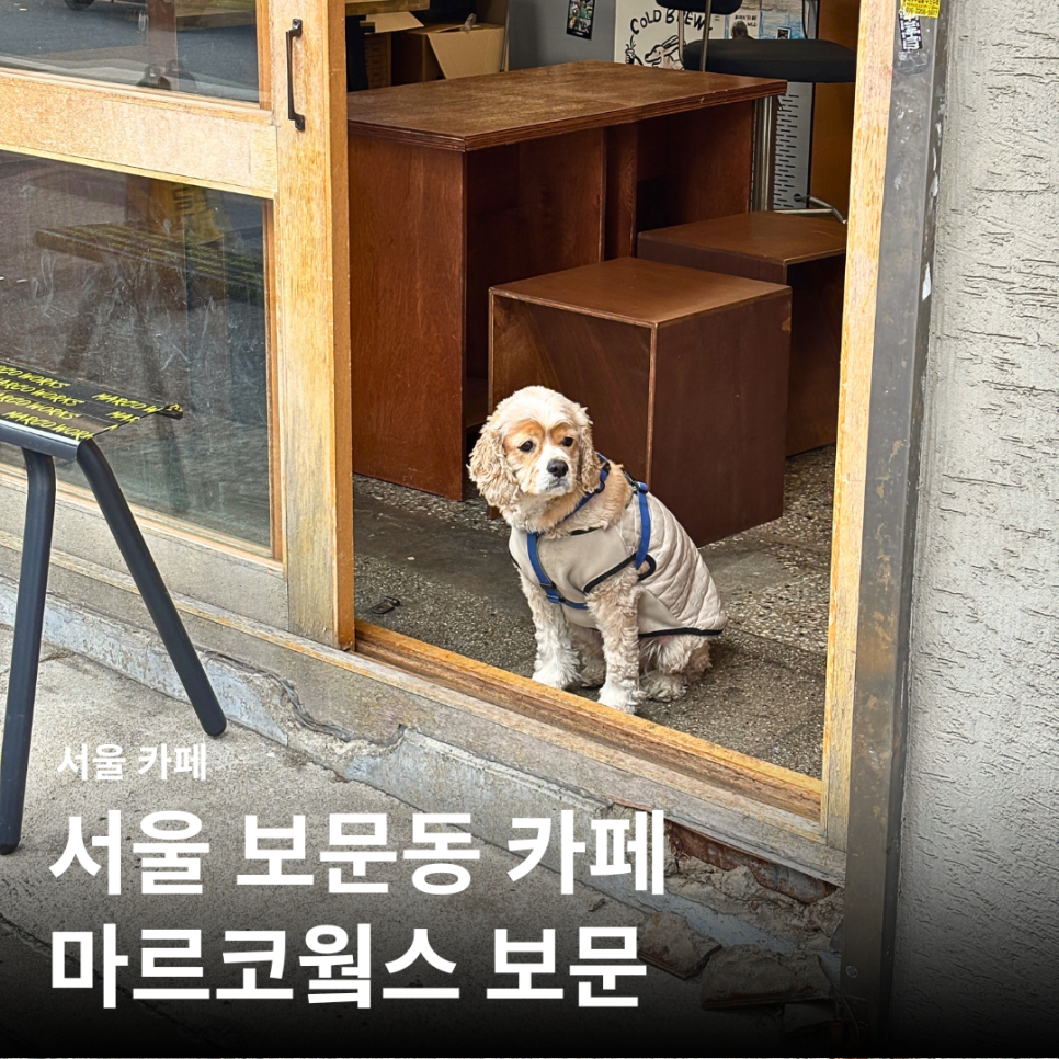 마르코웤스 이미지