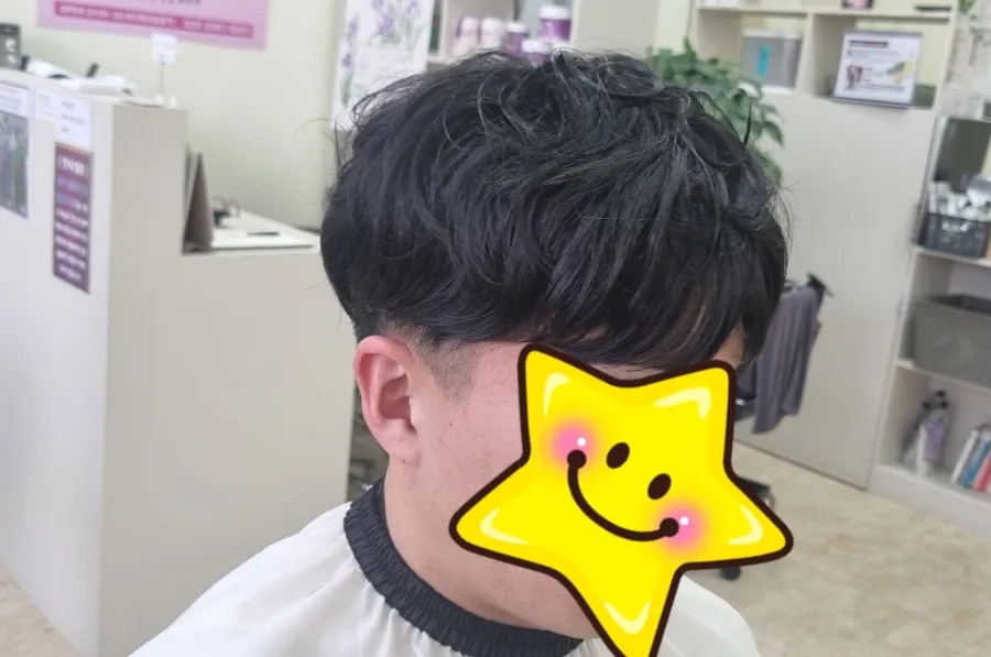 엘렌헤어 이미지