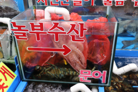 정동수산 이미지