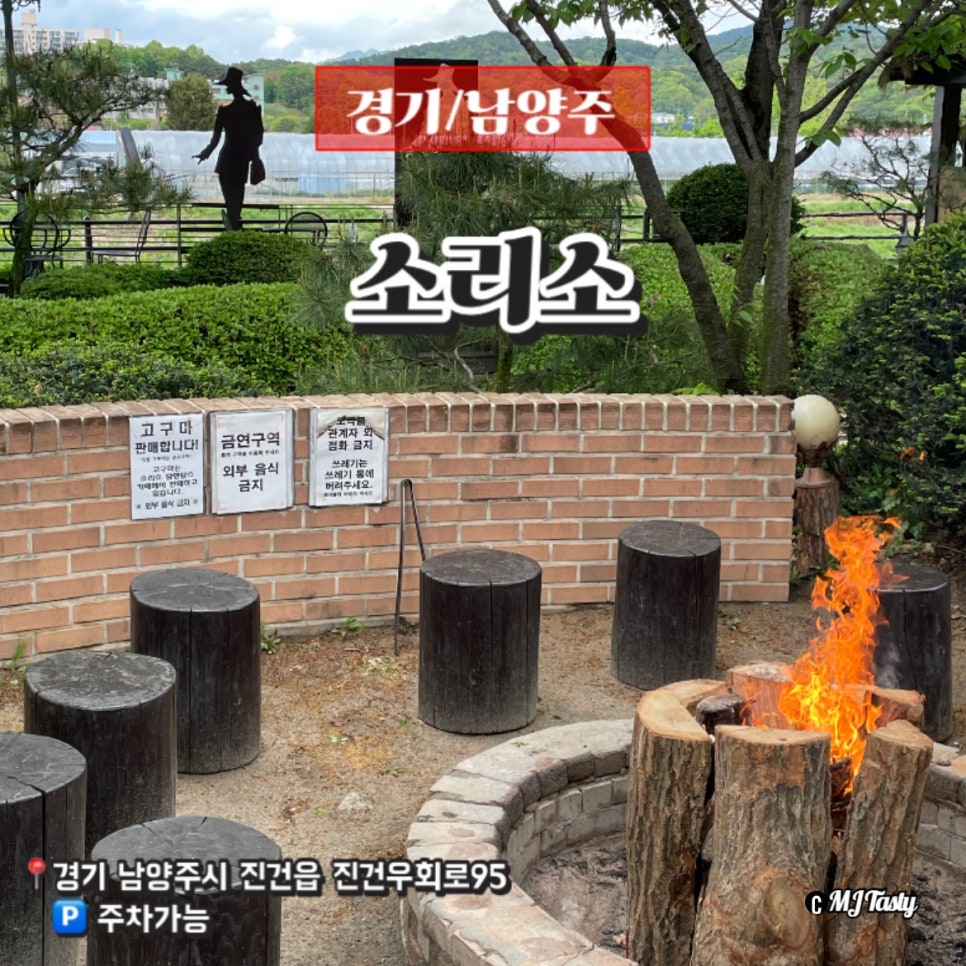 탐라이스 이미지