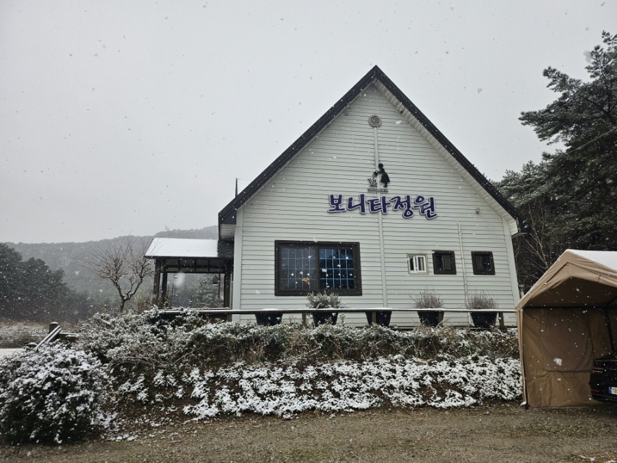 보니타정원 이미지