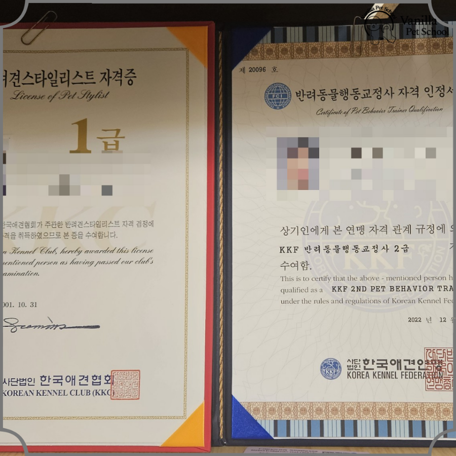 바닐라애견미용학원 이미지