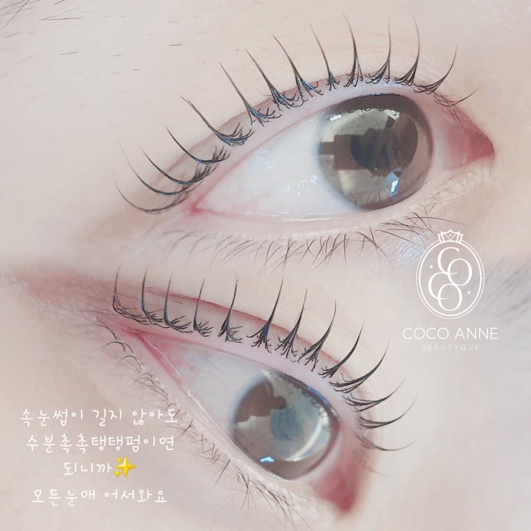 코코속눈썹 이미지