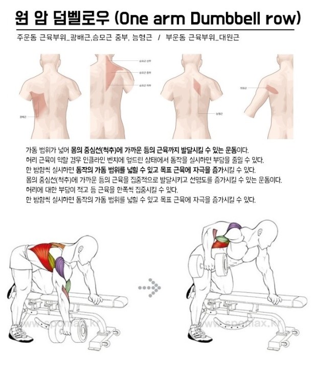 피트니스131 이미지