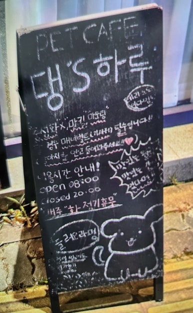 댕스하루 이미지