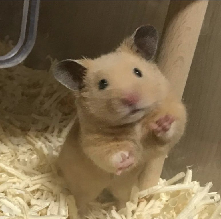 카페클로버 이미지