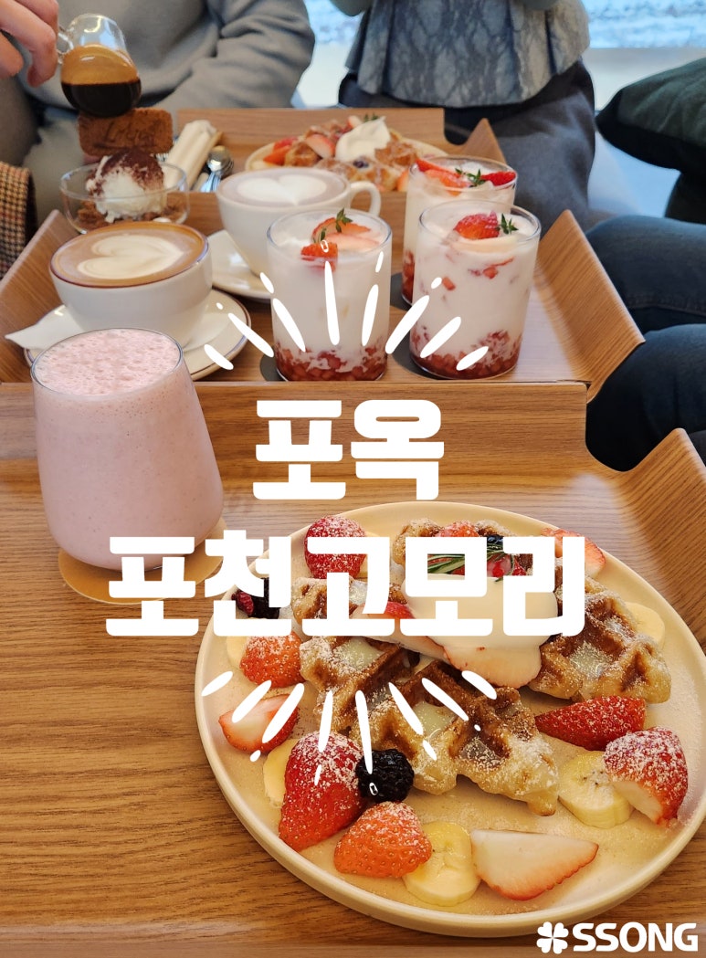 포옥차 이미지