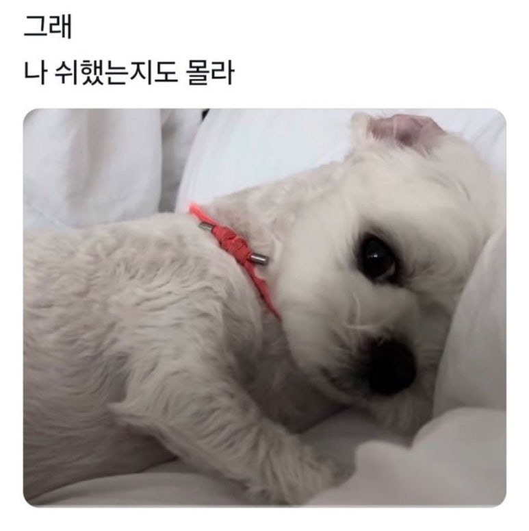 취중진담 이미지