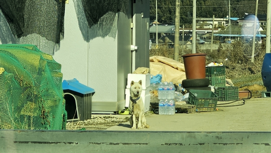 농장자동차공업사 이미지