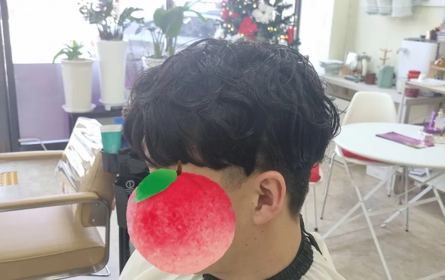 엘렌헤어 이미지