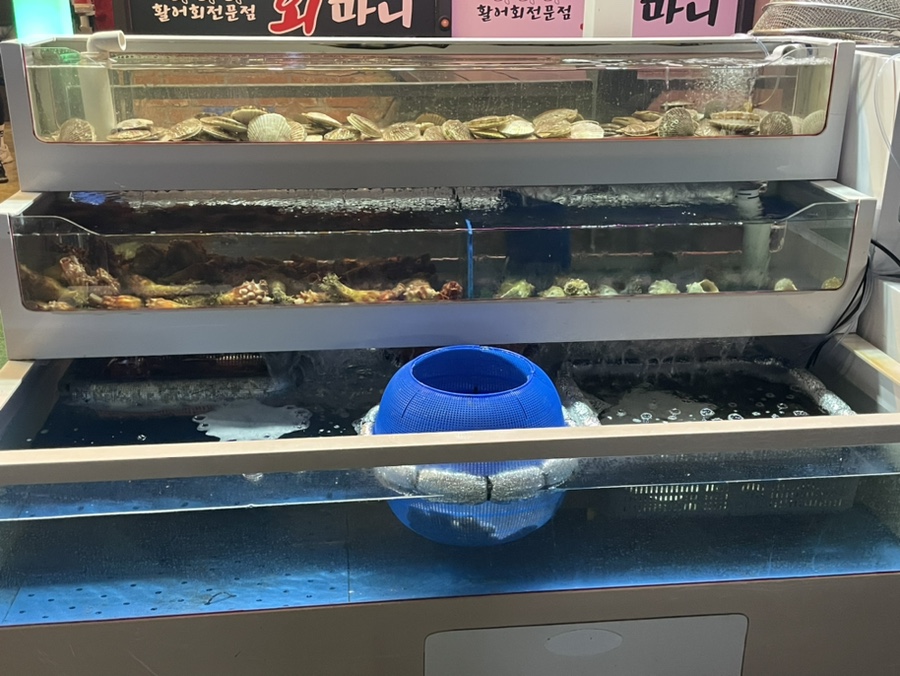 회마니 이미지