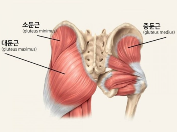 뉴힐링라이프재활운동센터 이미지