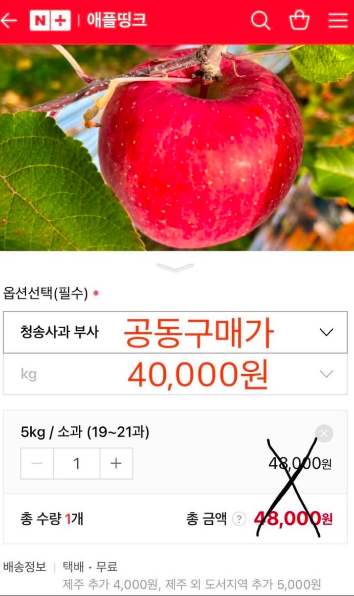 애플띵크 이미지