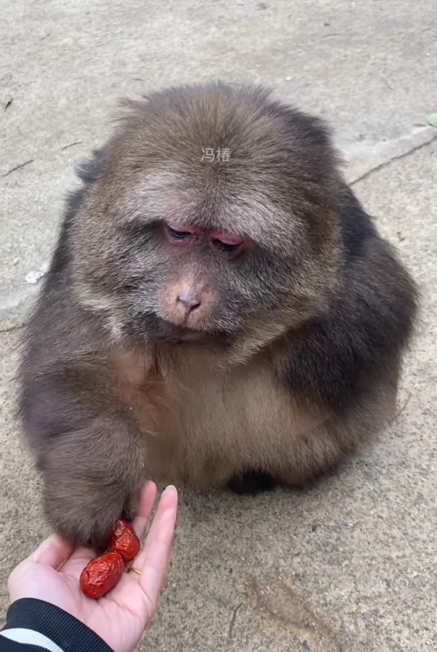 차곰차곰 이미지