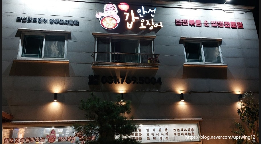 만선갑오징어 이미지
