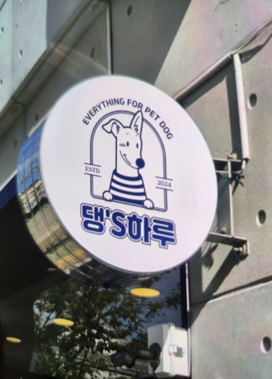 댕스하루 이미지
