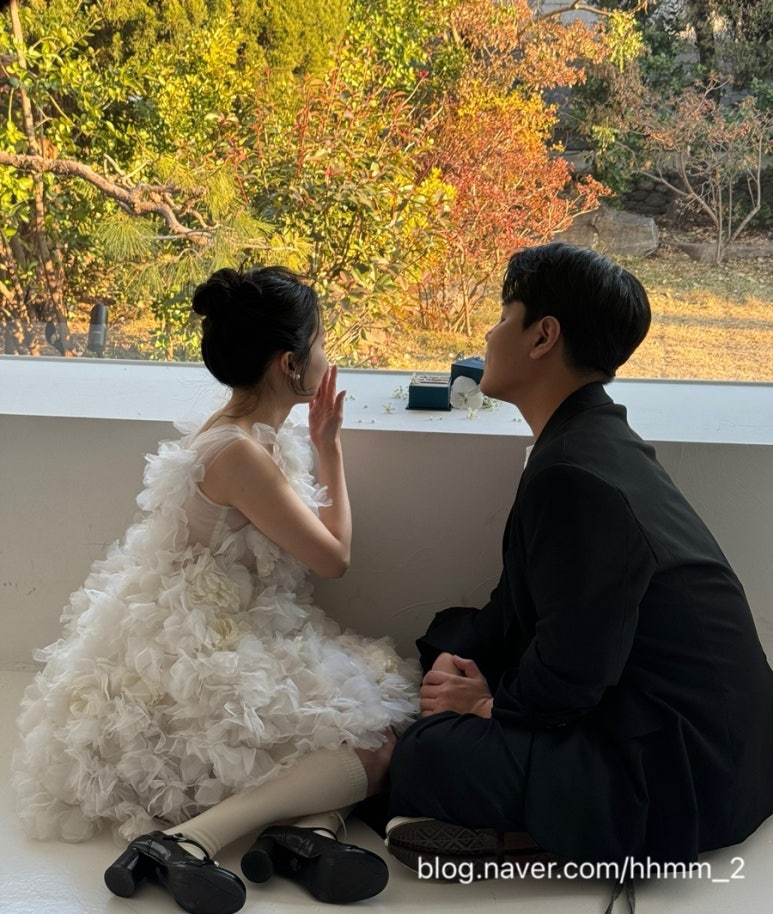 비체트리 이미지