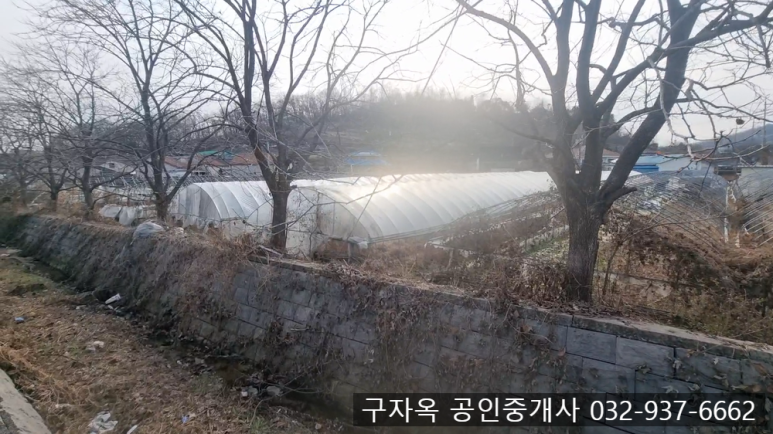 강화중학교 이미지