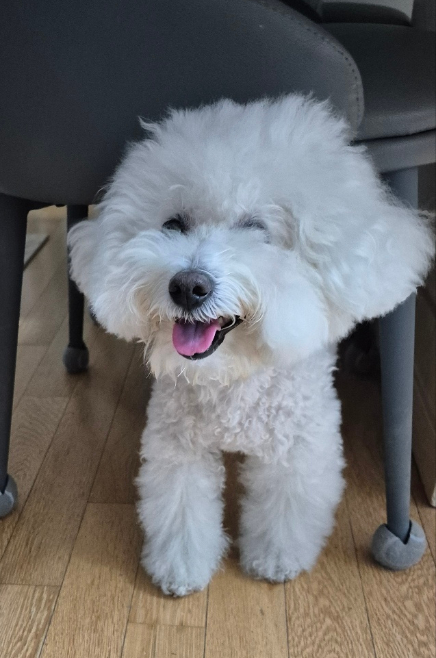 삼촌이모과일 이미지