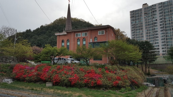 숲과나무협동조합 이미지