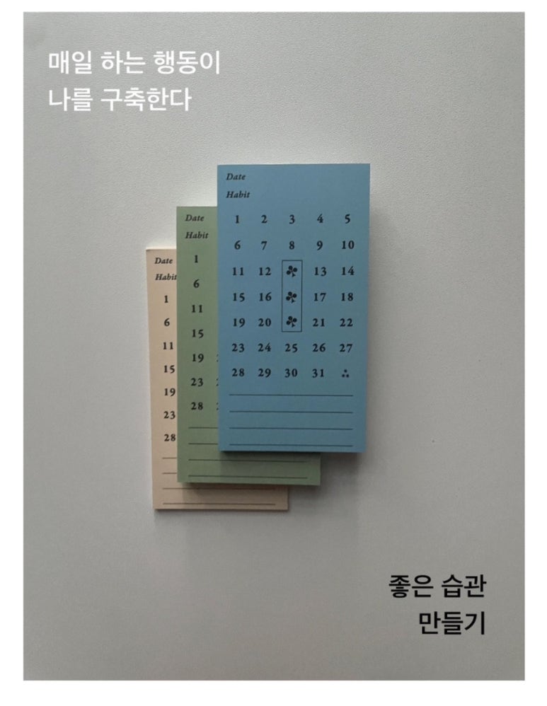 에세테라 이미지