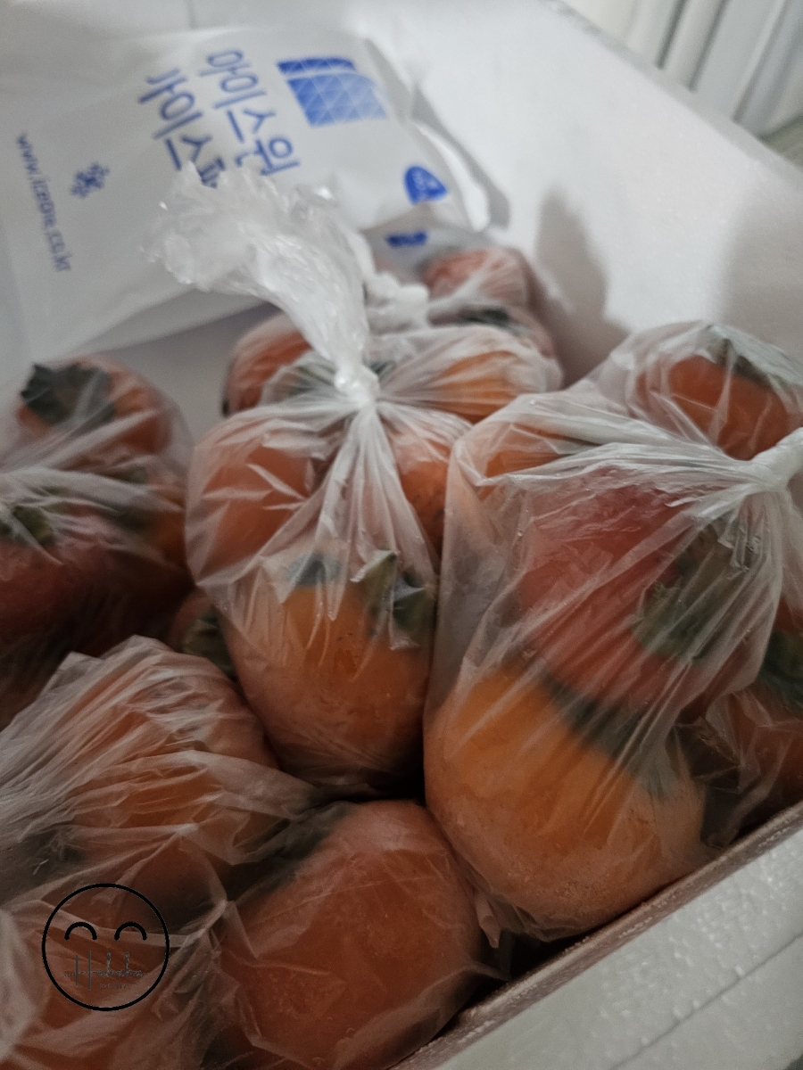 풀빛농원 이미지
